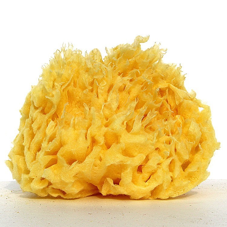 Как натуральная губка из Греции может улучшить качество купания?